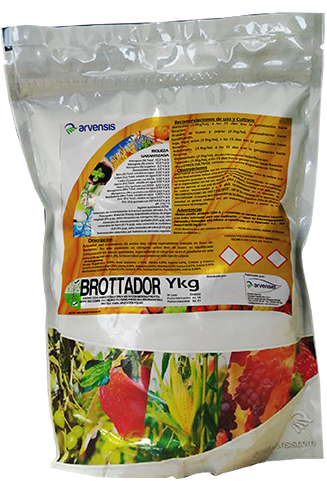 Brottador